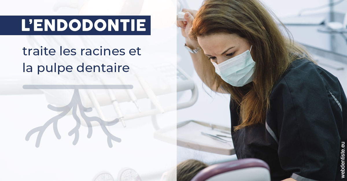 https://dr-assoun-catherine.chirurgiens-dentistes.fr/L'endodontie 1