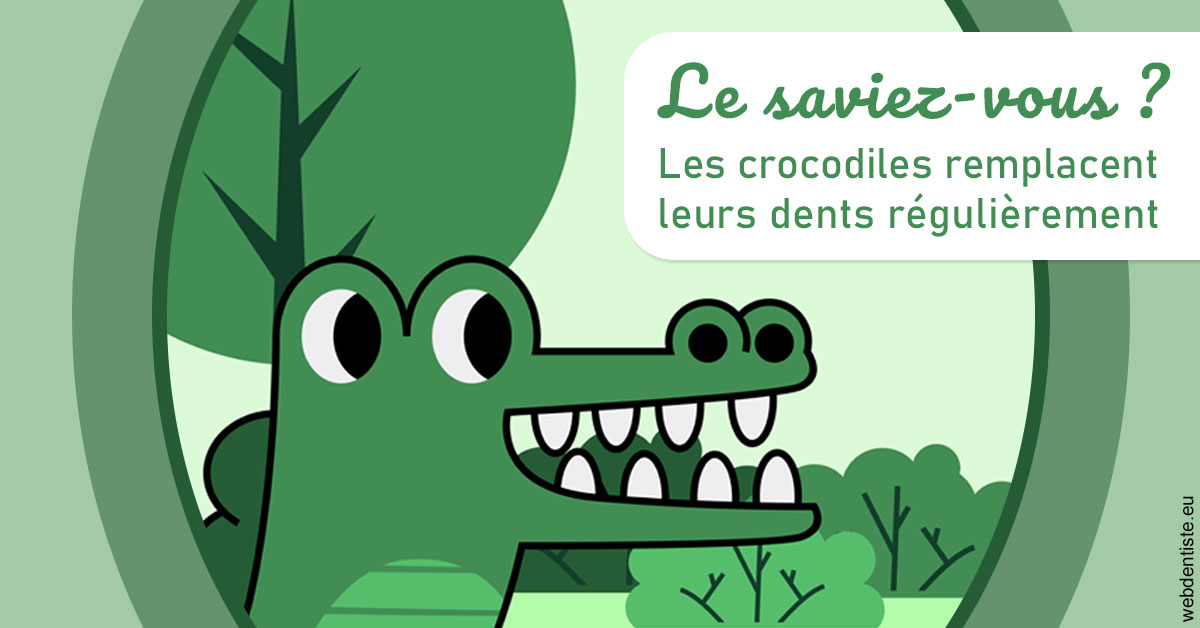https://dr-assoun-catherine.chirurgiens-dentistes.fr/Crocodiles 2