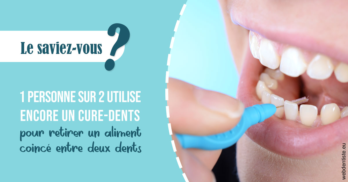 https://dr-assoun-catherine.chirurgiens-dentistes.fr/Cure-dents 1